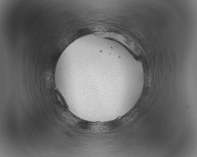 X0000082700521200702161753