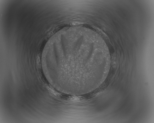 X0000082700523200702161753