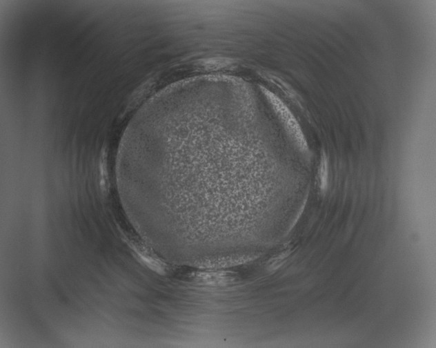 X0000082700524200702161753