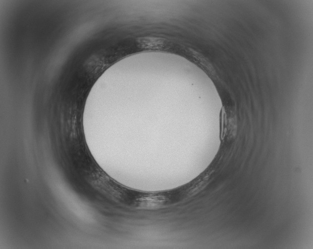 X0000082700525200702161753