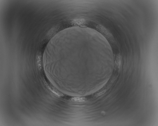 X0000082700526200702161753