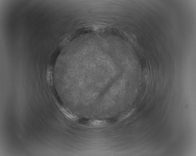 X0000082700527200702161753