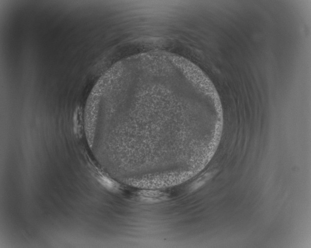 X0000082700528200702161753