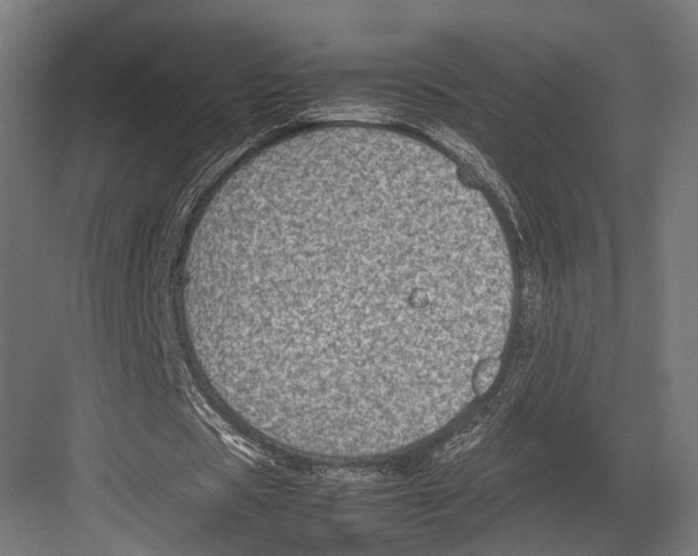 X0000082700529200702161752