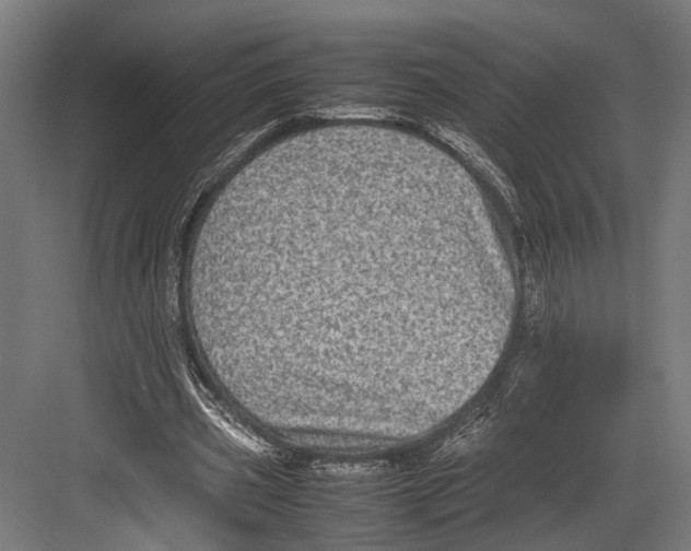 X0000082700533200702161752