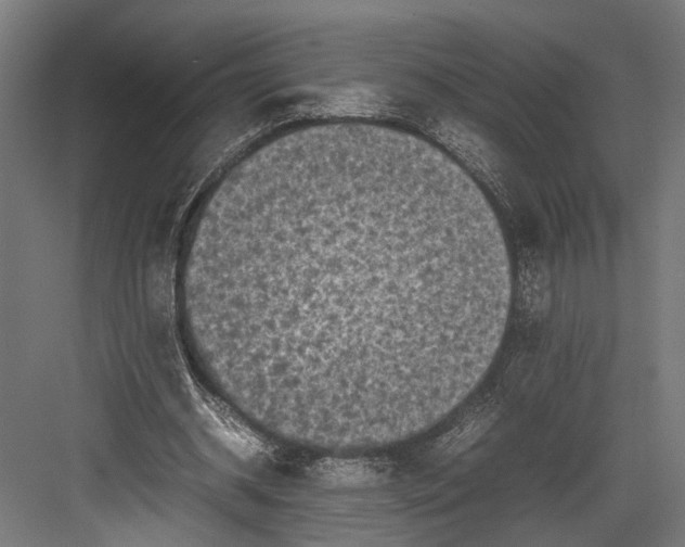 X0000082700534200702161752