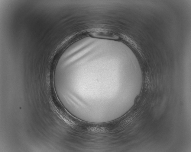 X0000082700535200702161752