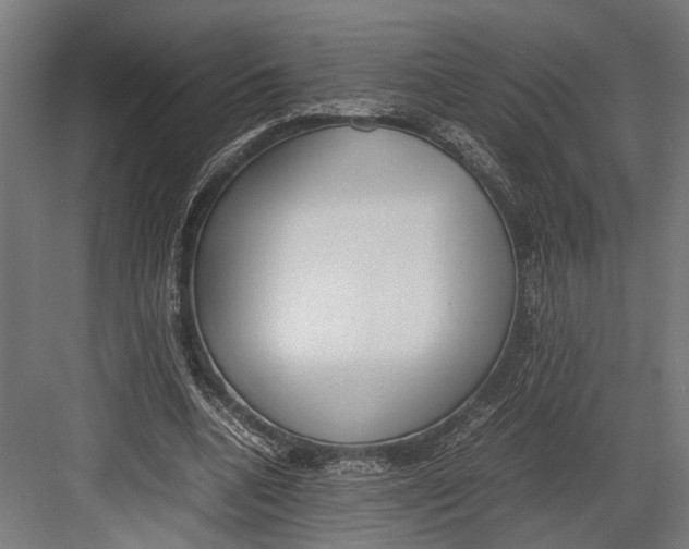 X0000082700536200702161752