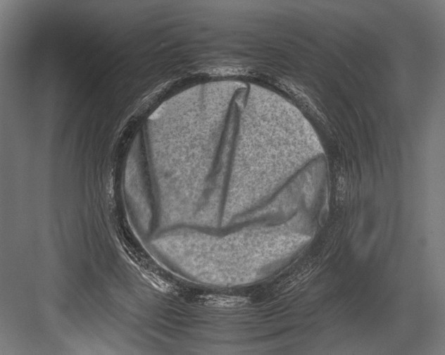 X0000082700539200702161752