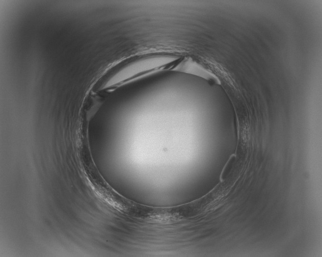 X0000082700540200702161752