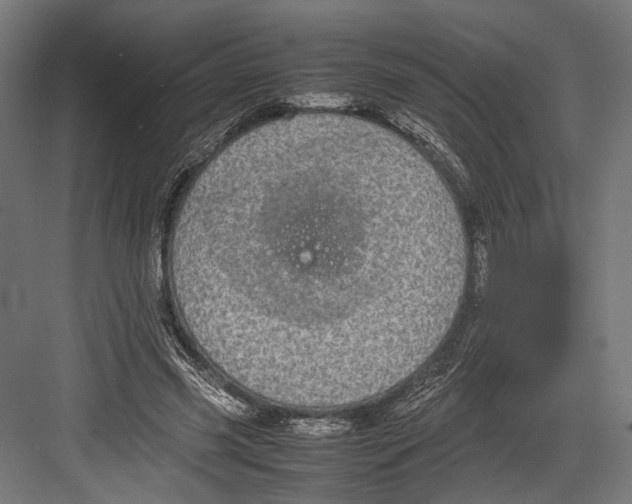 X0000082700541200702161752