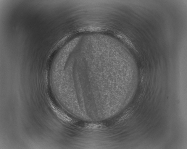 X0000082700542200702161752