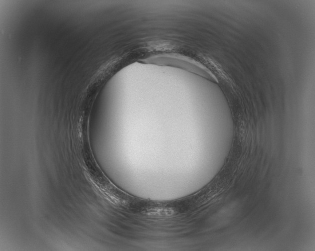 X0000082700543200702161752