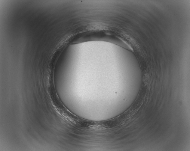 X0000082700544200702161752