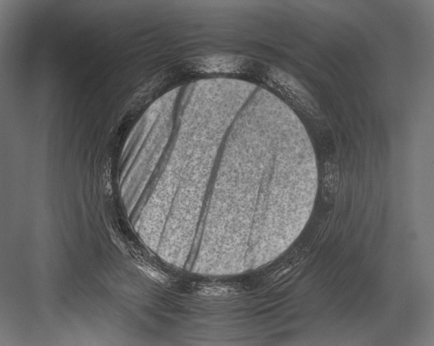 X0000082700547200702161752