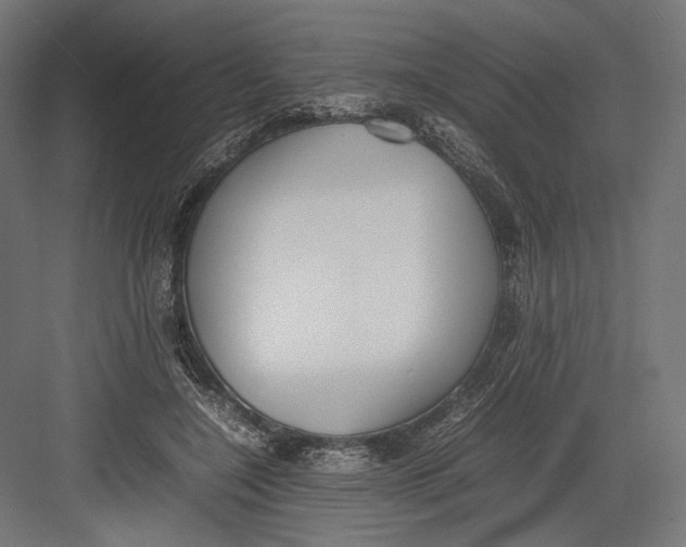 X0000082700548200702161752