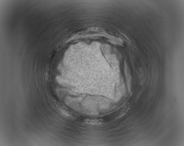 X0000082700553200702161752