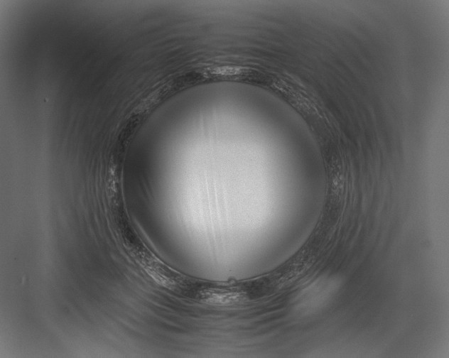 X0000082700555200702161752