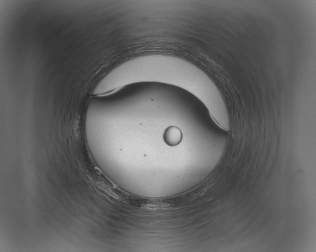 X0000082700556200702161752