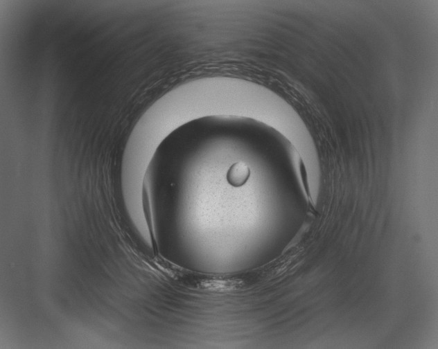 X0000082700558200702161752