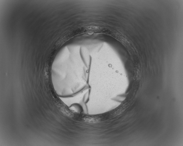 X0000082700561200702161753