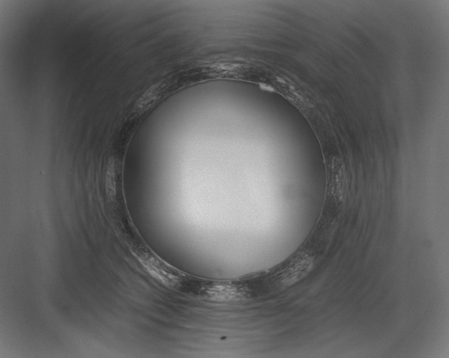 X0000082700562200702161753