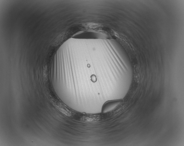 X0000082700563200702161753