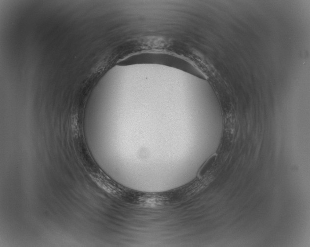 X0000082700564200702161753