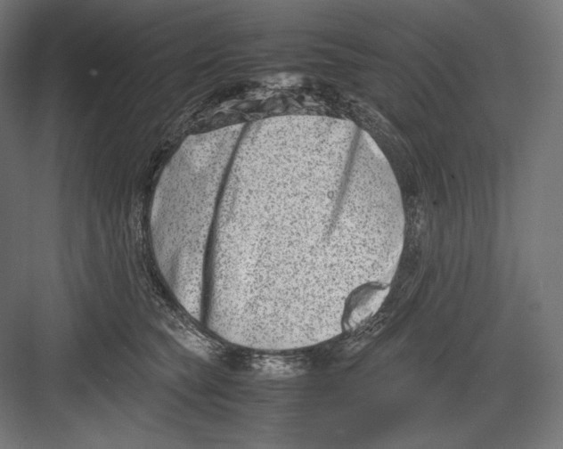 X0000082700565200702161753