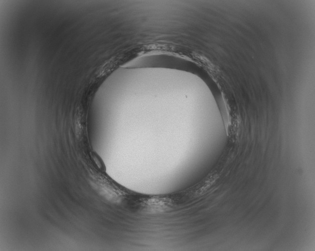 X0000082700566200702161753