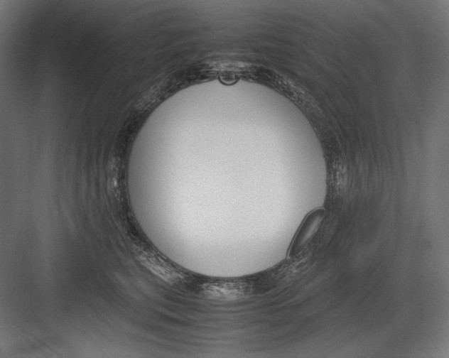 X0000082700567200702161753