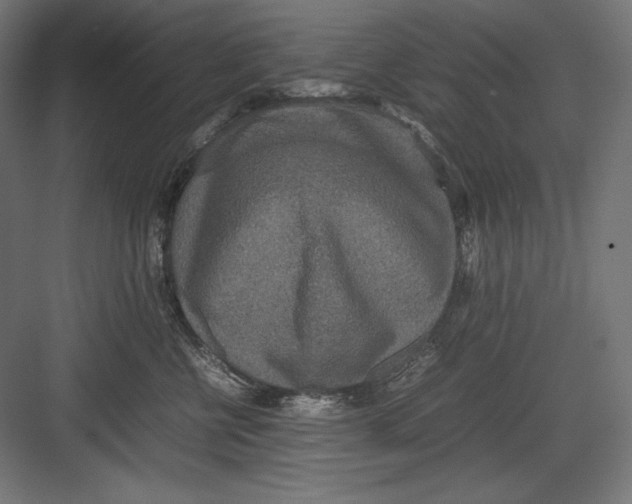 X0000082700570200702161753