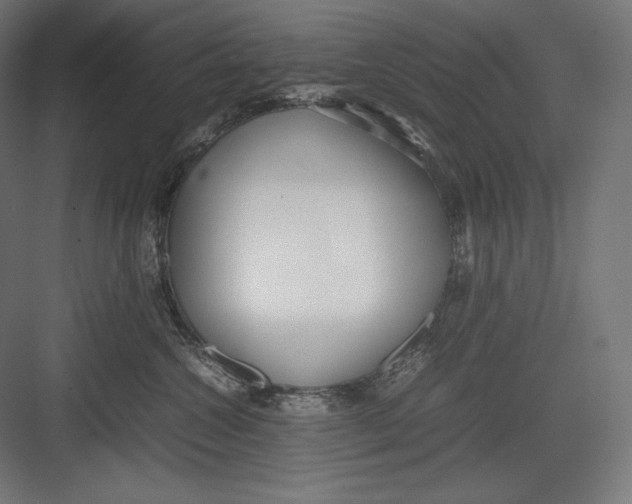 X0000082700572200702161753