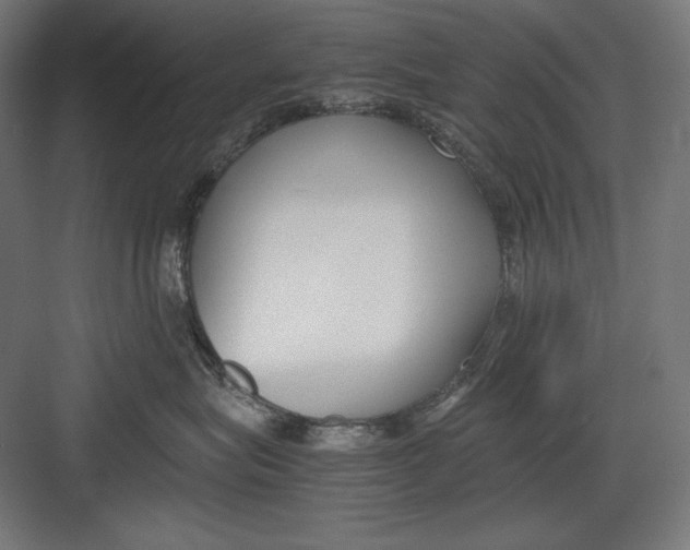 X0000082700575200702161753