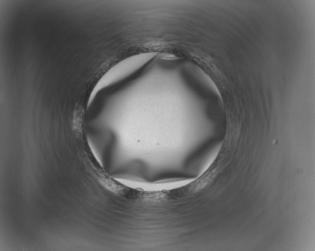 X0000082700576200702161753