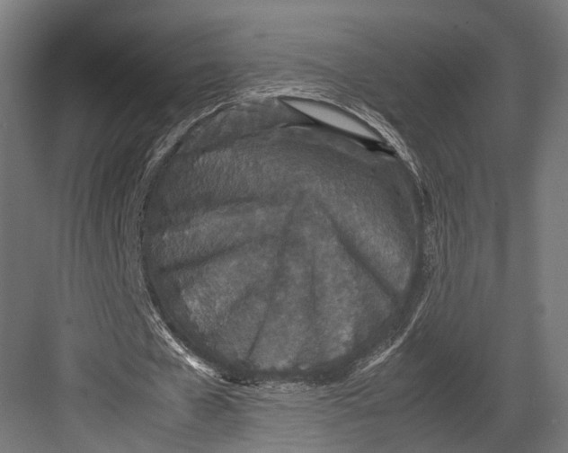 X0000082700577200702161752