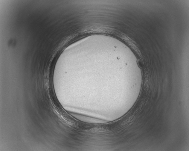 X0000082700578200702161752