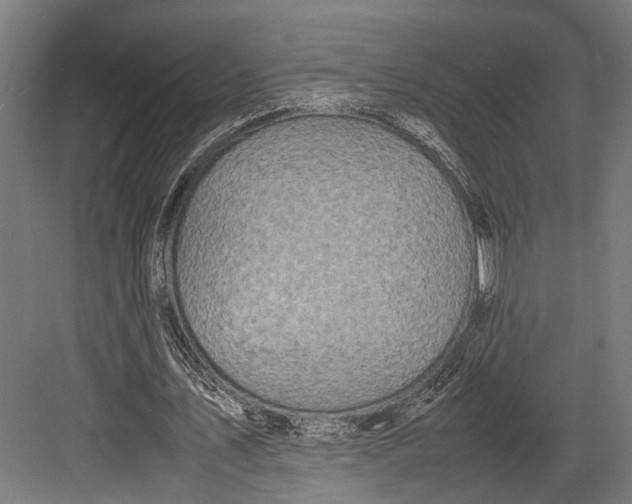 X0000082700579200702161752