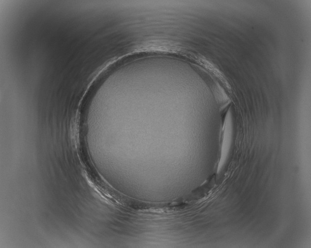 X0000082700580200702161752