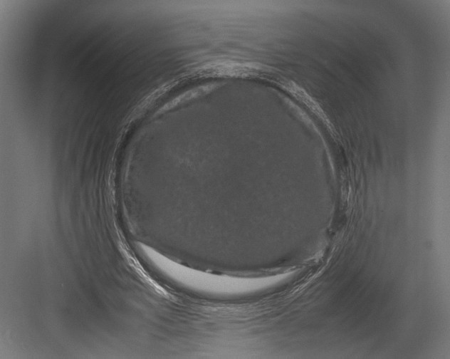 X0000082700581200702161752