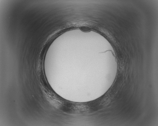 X0000082700583200702161752