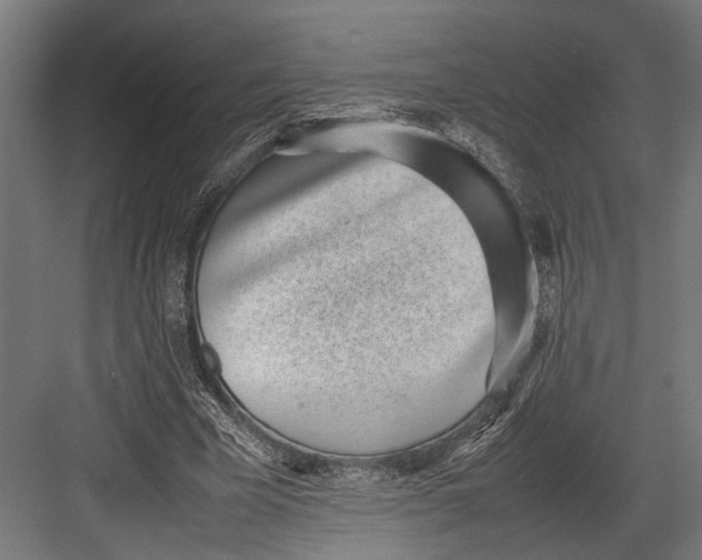 X0000082700585200702161752