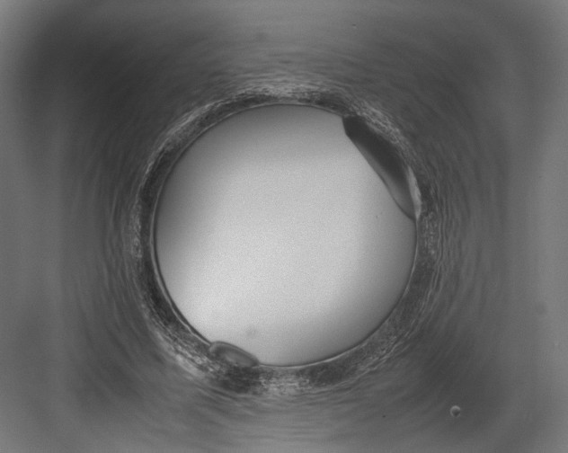 X0000082700587200702161752