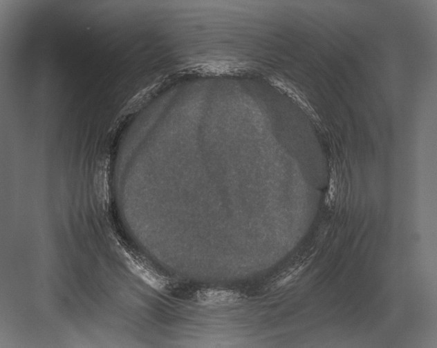 X0000082700590200702161752