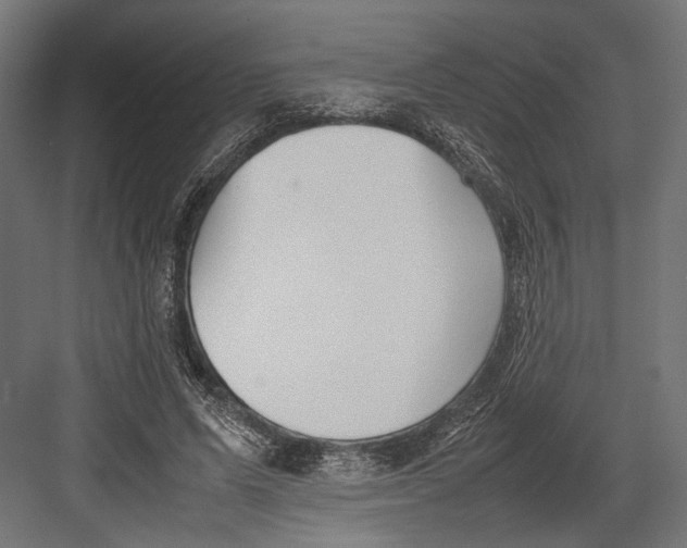 X0000082700591200702161752