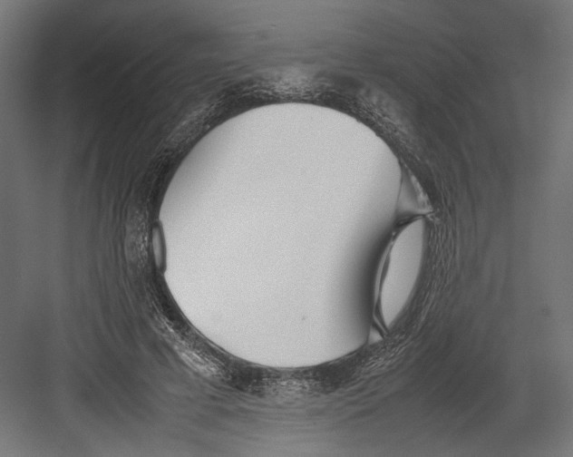 X0000082700593200702161752