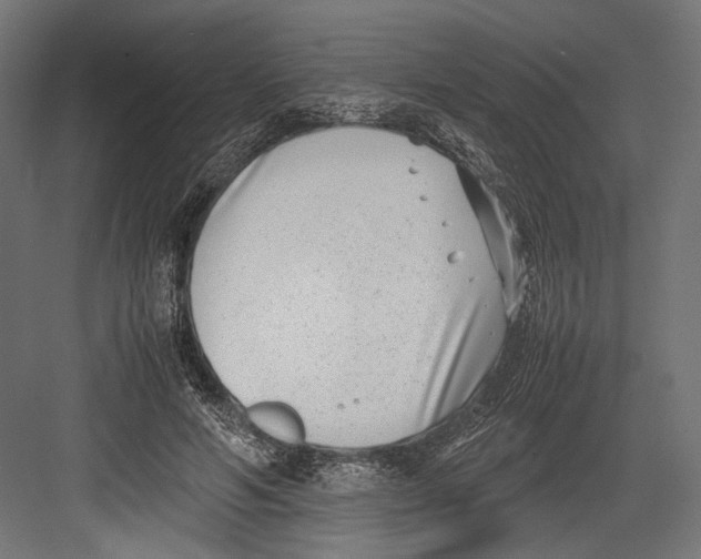 X0000082700594200702161752