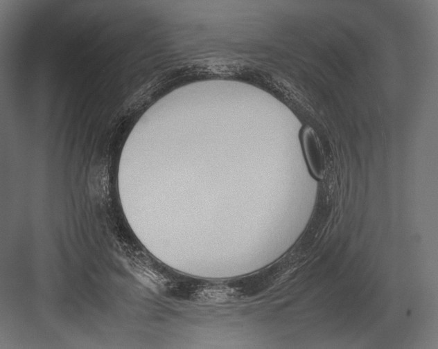 X0000082700595200702161752