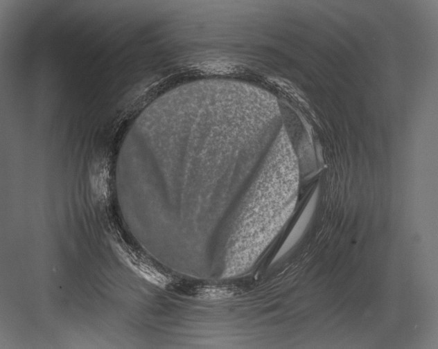 X0000082700596200702161752