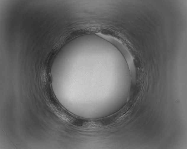 X0000082700597200702161752